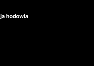 Rafał Ślęzak, Świat pająków
