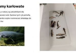 Antoni Izydorczyk, Wędkarstwo moja pasja