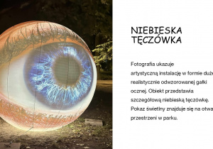 Oliwia Szalczyńska, Łódź w fotografii
