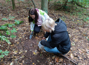 technik ochrony środowiska